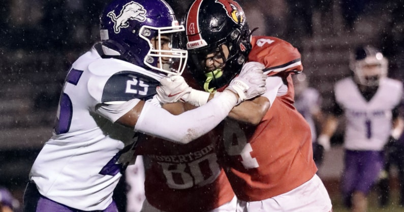 Annalise Villegas Photo | Santa Rosa/Robertson 2025